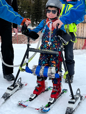 Forest Skiing