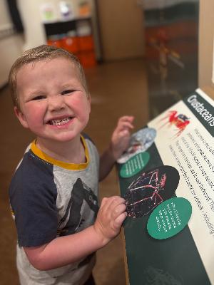 Evit is a spirited preschooler who is insect-obsessed, full of curiosity and adored by his 2 big sisters