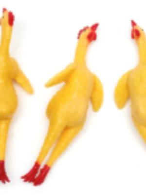 . . . because nothing captures our athletic prowess better than a rubber chicken