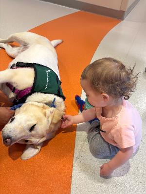 My daughter with Salida, the therapy dog, after her ear tube surgery